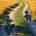 Motorcyclists riding on the winding mountain road